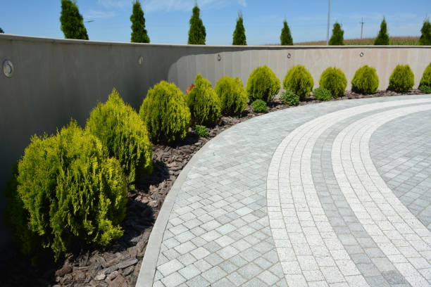 Best Professional Driveway Pavers  in Graceville, FL